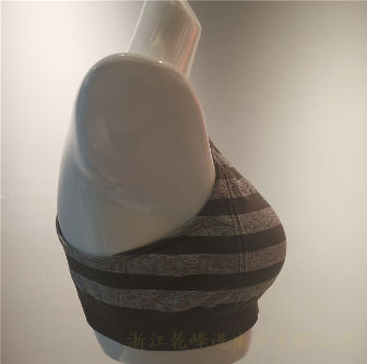 Sports & Smart Bra
