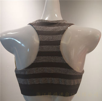 Sports & Smart Bra