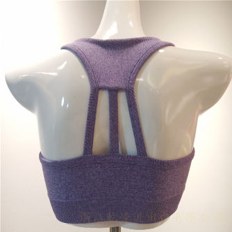 Sports & Smart Bra