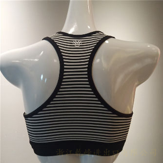 Sports & Smart Bra